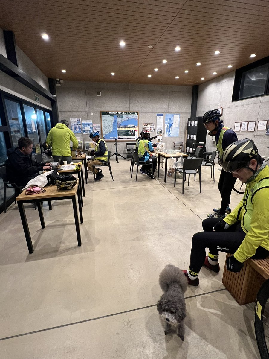 レモン姫 tweet media