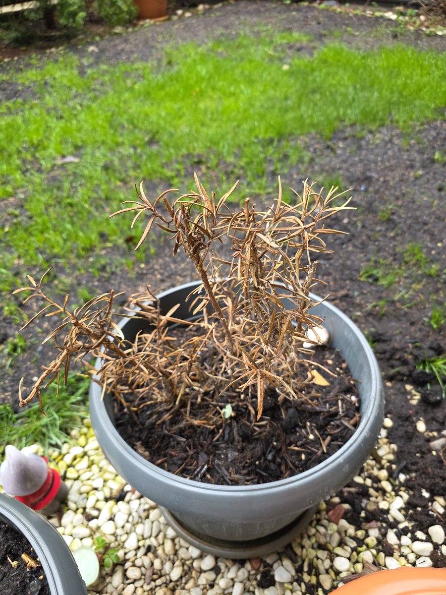 AndreWGMI tweet media