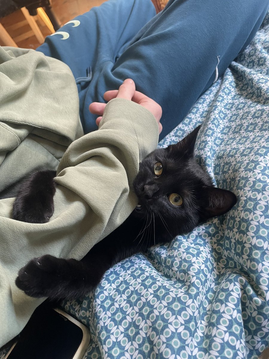 hardcore tweet media