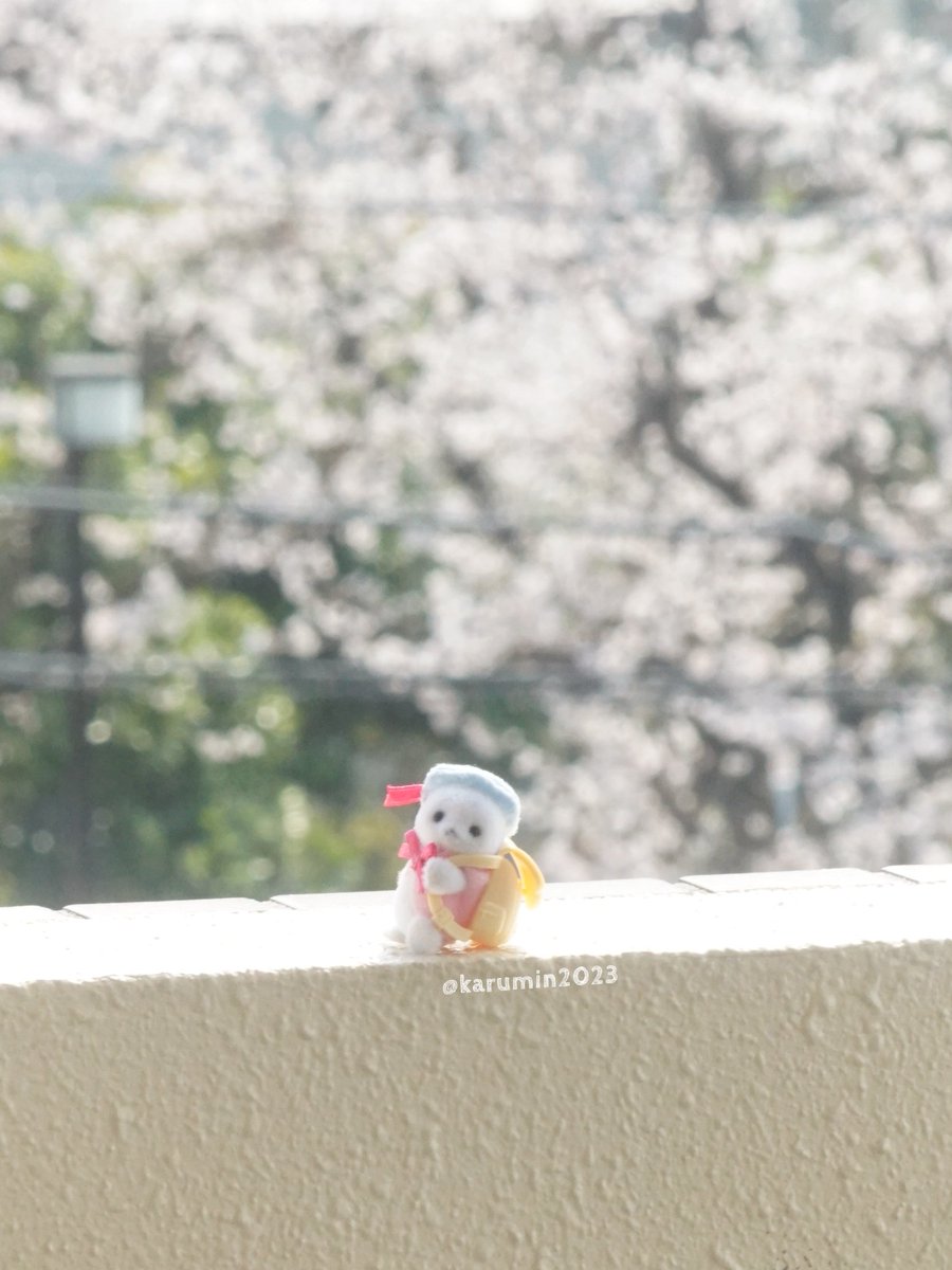 カルミン tweet media