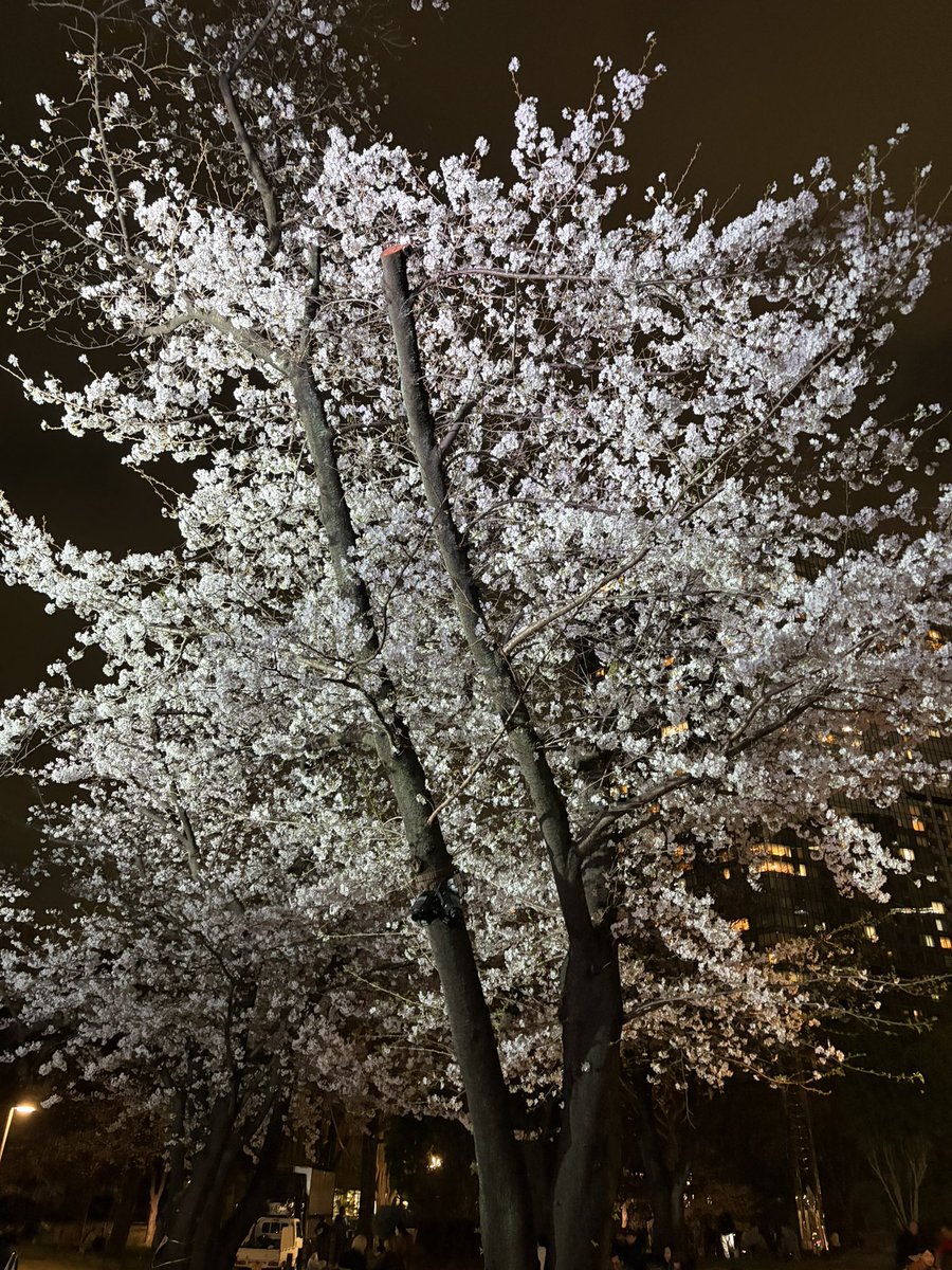 あゆみーる tweet media