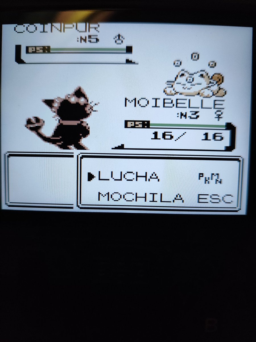 Ludisoft📘 tweet media