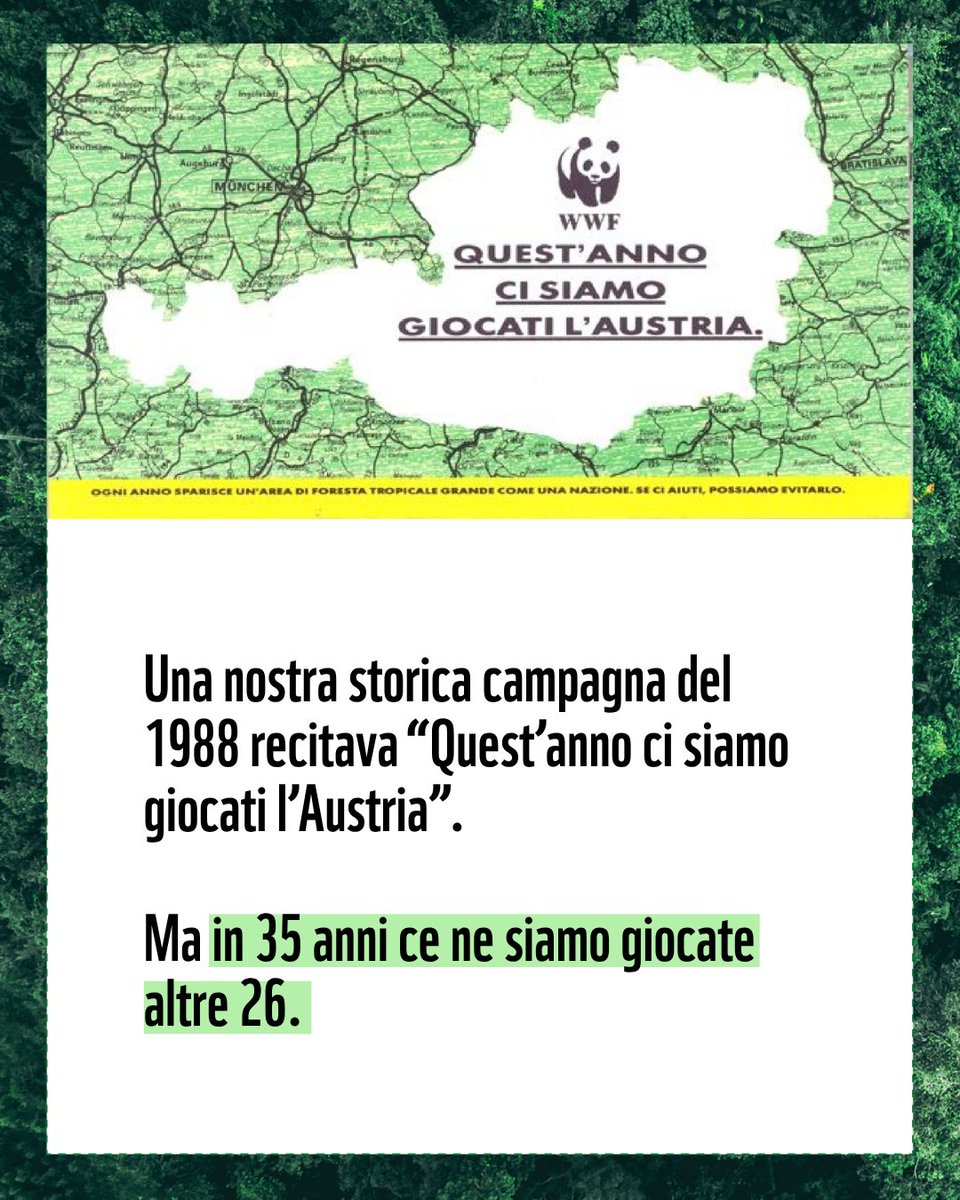 zakirovasofiya's tweet photo. Con la nostra "crescita" e "evoluzione" continuiamo a distruggere le foreste, ambiente indispensabile per sostenere la vita del Pianeta 🌳
#Savesoil
#WWF
Giornata mondiale delle #foreste https://t.co/bPXivKCOTW