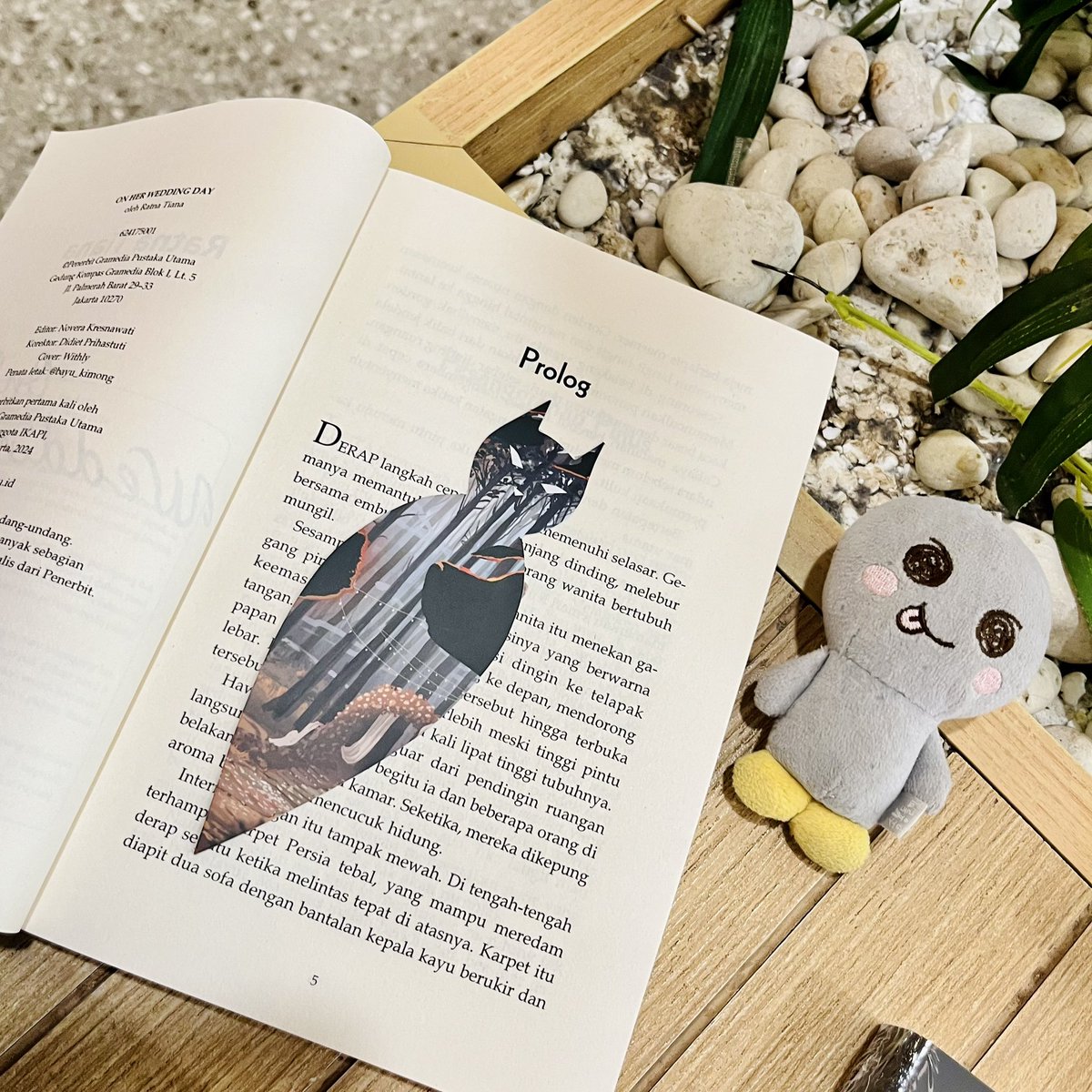 ☁️🐈 tweet media