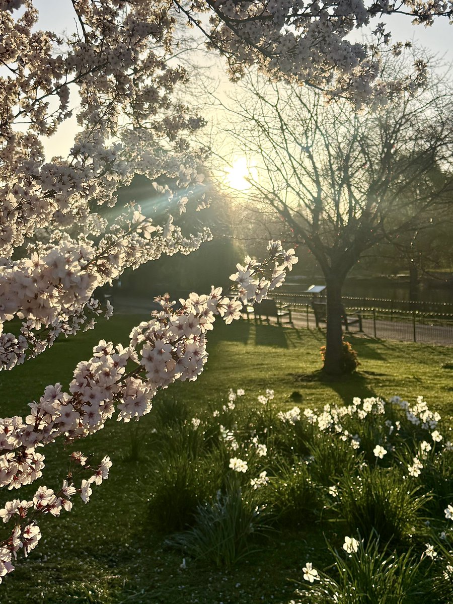 James Montgomery tweet media