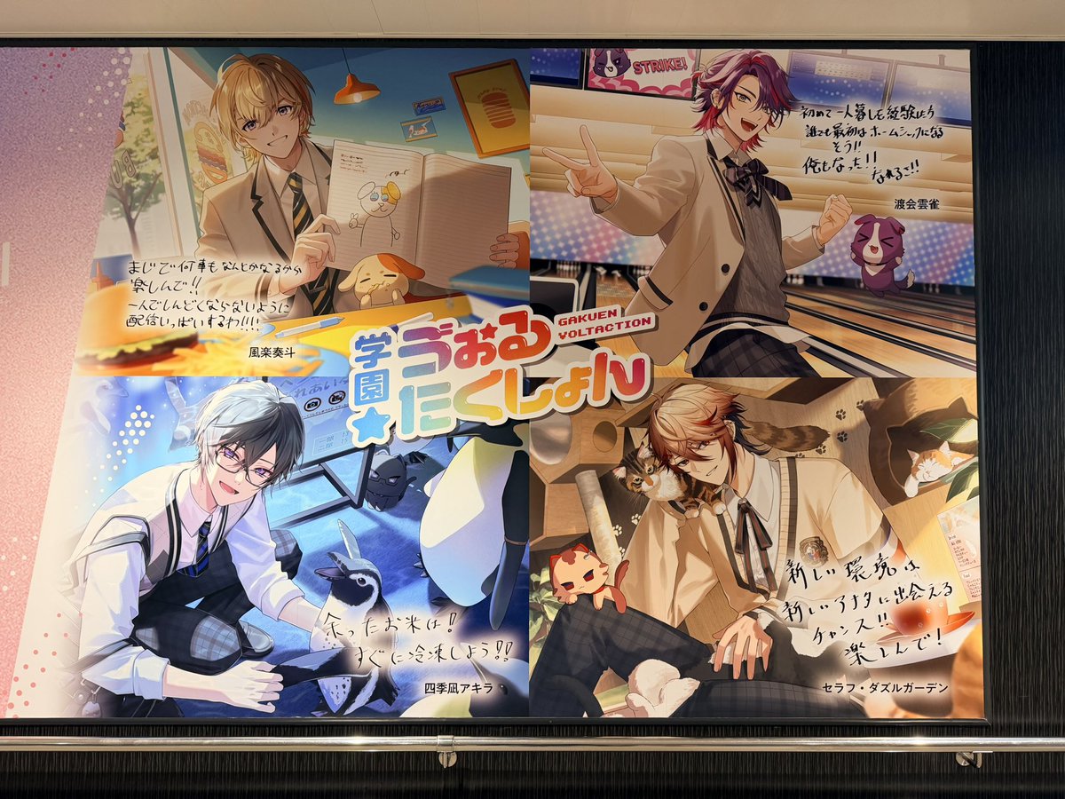 ぱるな tweet media