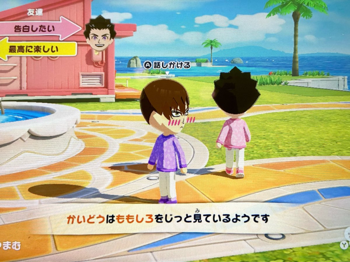 まりもむし tweet media