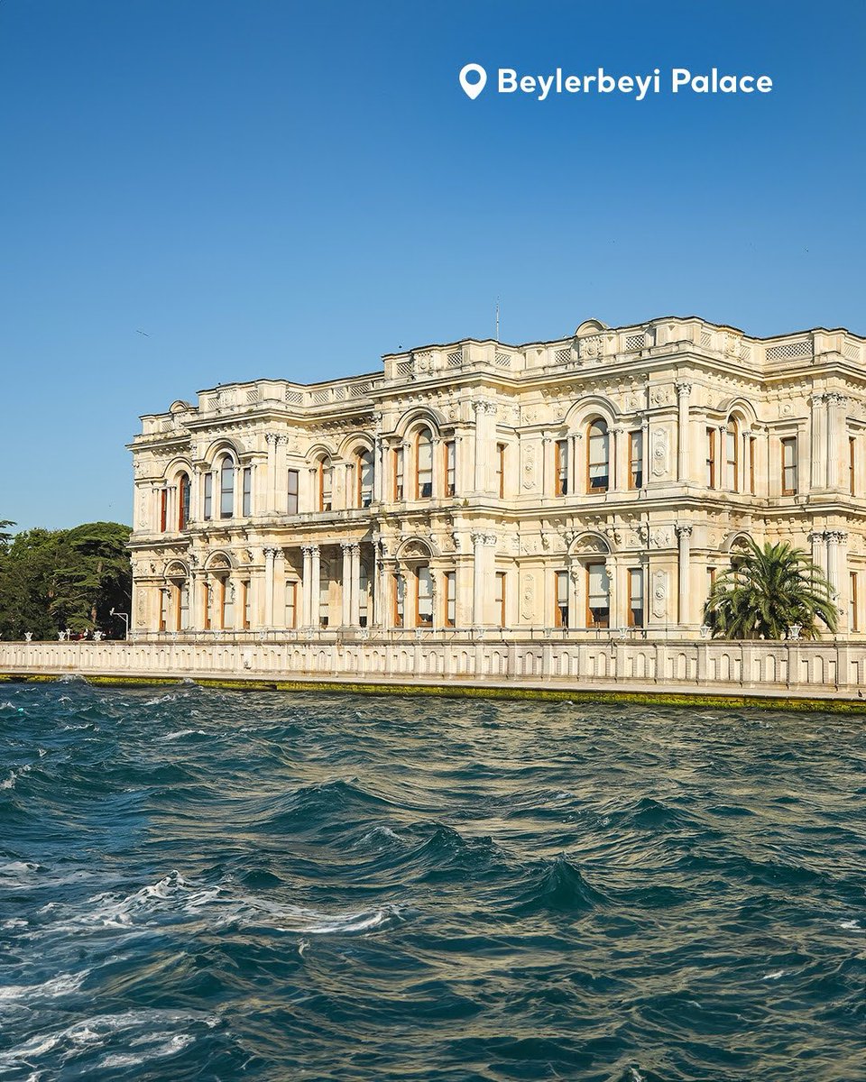 Go Türkiye tweet media