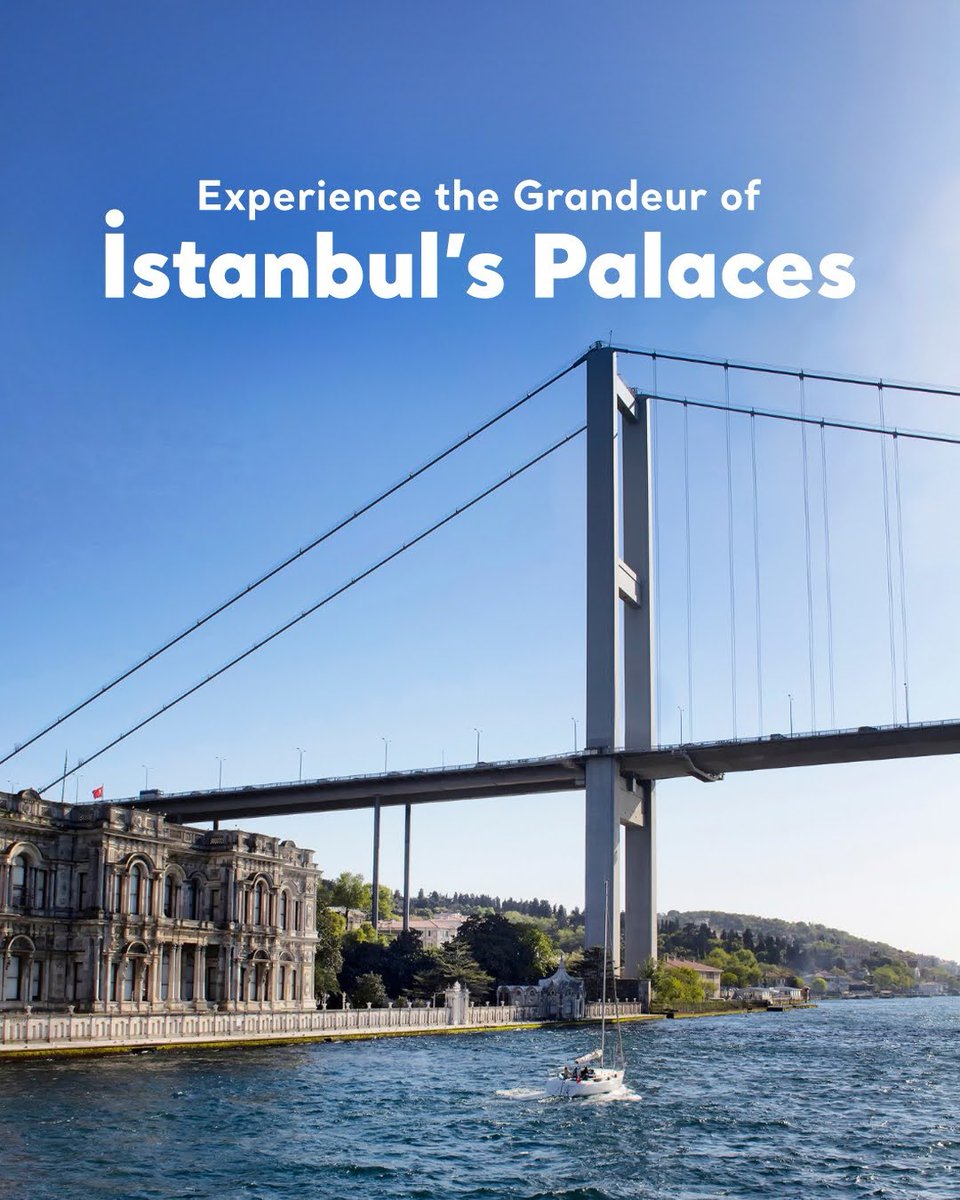 Go Türkiye tweet media