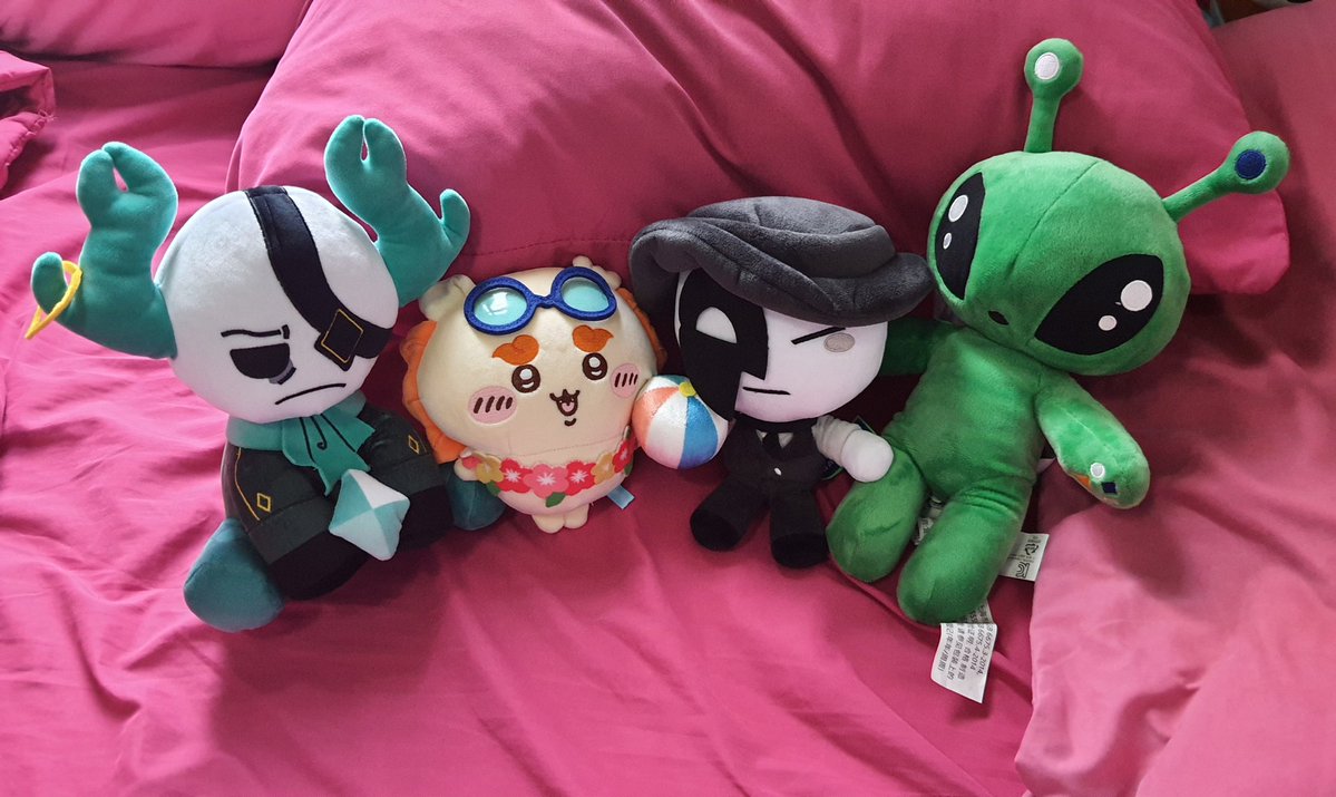 Yara 🐢 tweet media