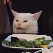 stargirl cheetos tweet media