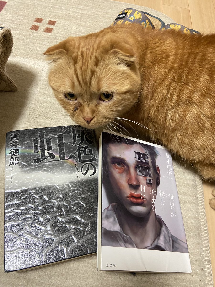 のり 読書好き tweet media