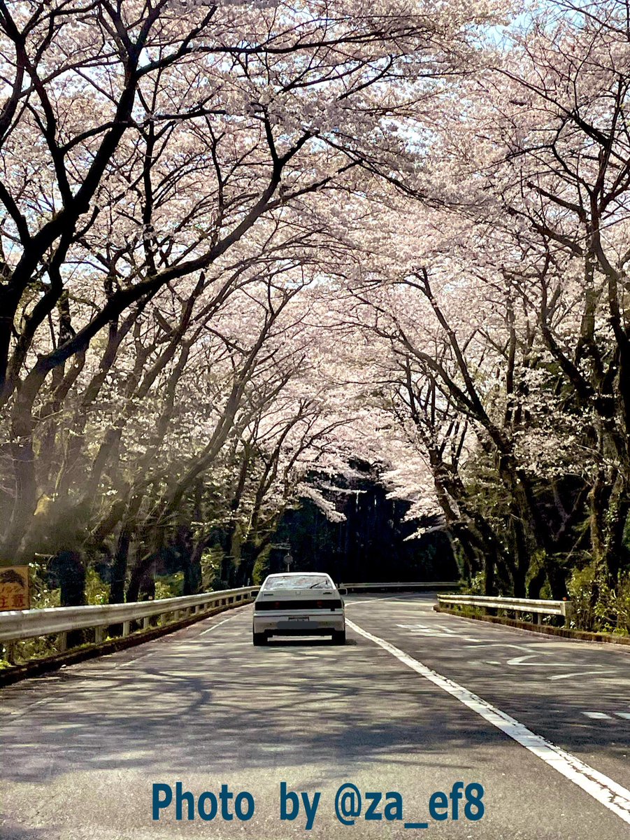 ttrx22Ø tweet media