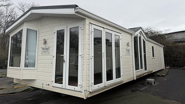 Mario Nawfal tweet media