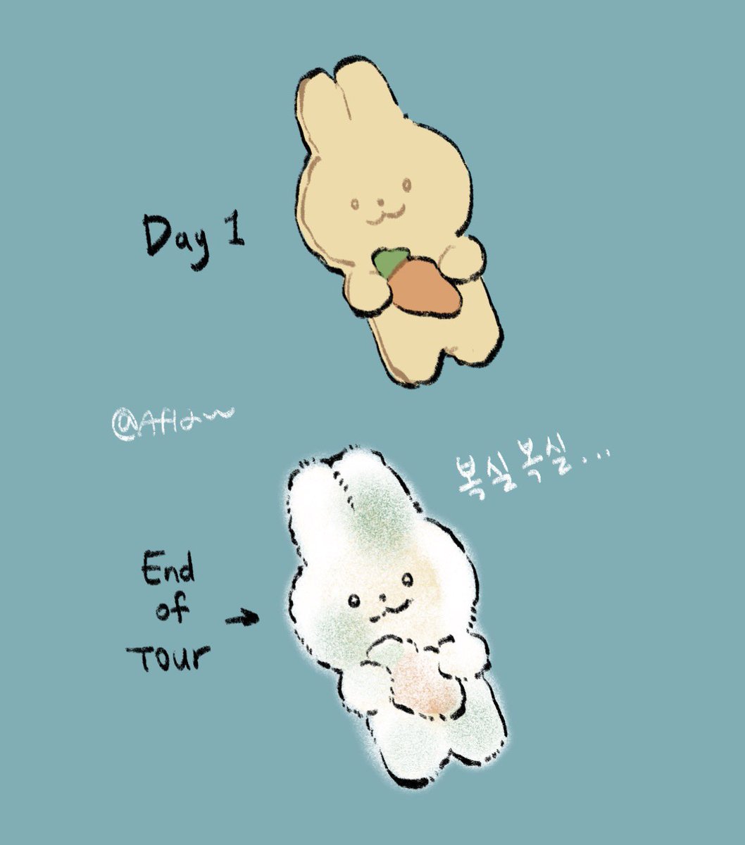 🐇