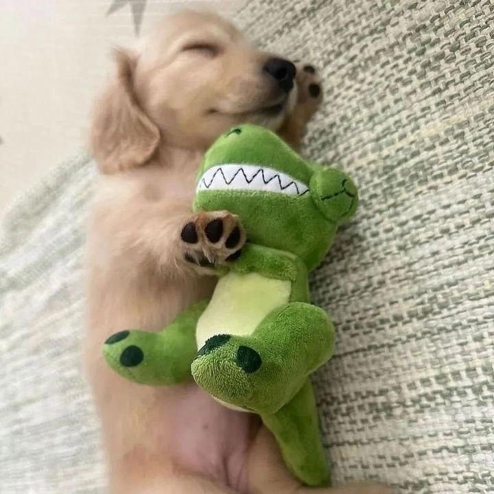 ૮ 핌 ა🧤 tweet media