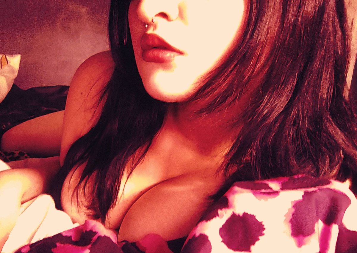 meow 💋 tweet media