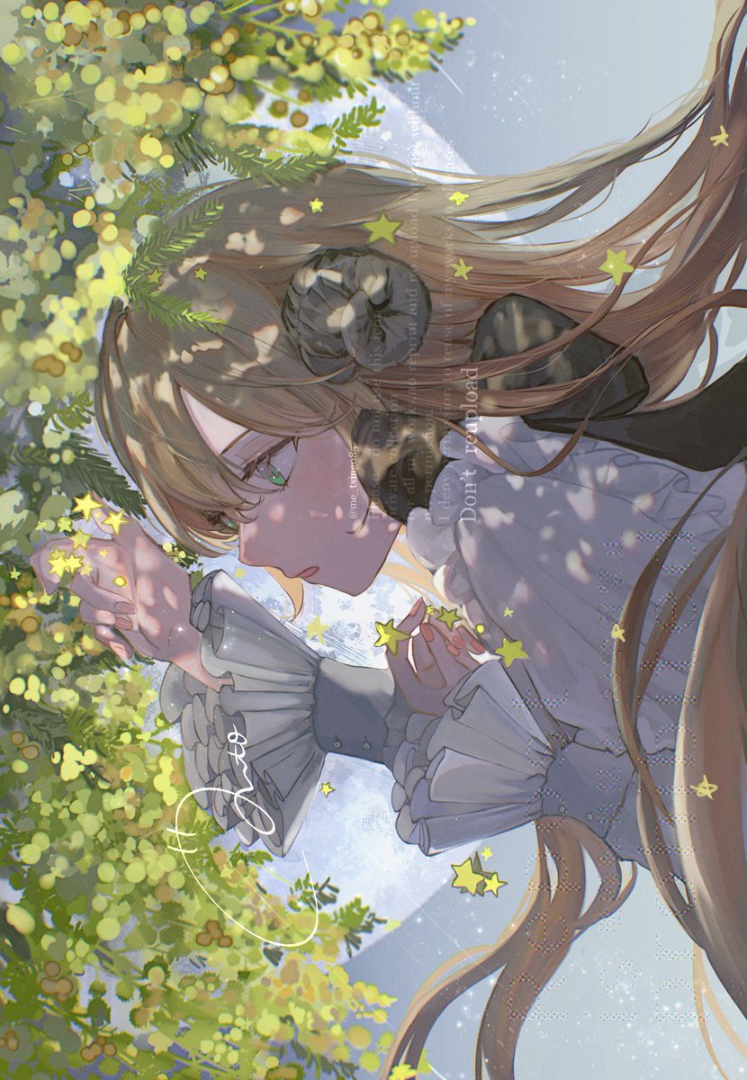 瑪透(Meto) tweet media