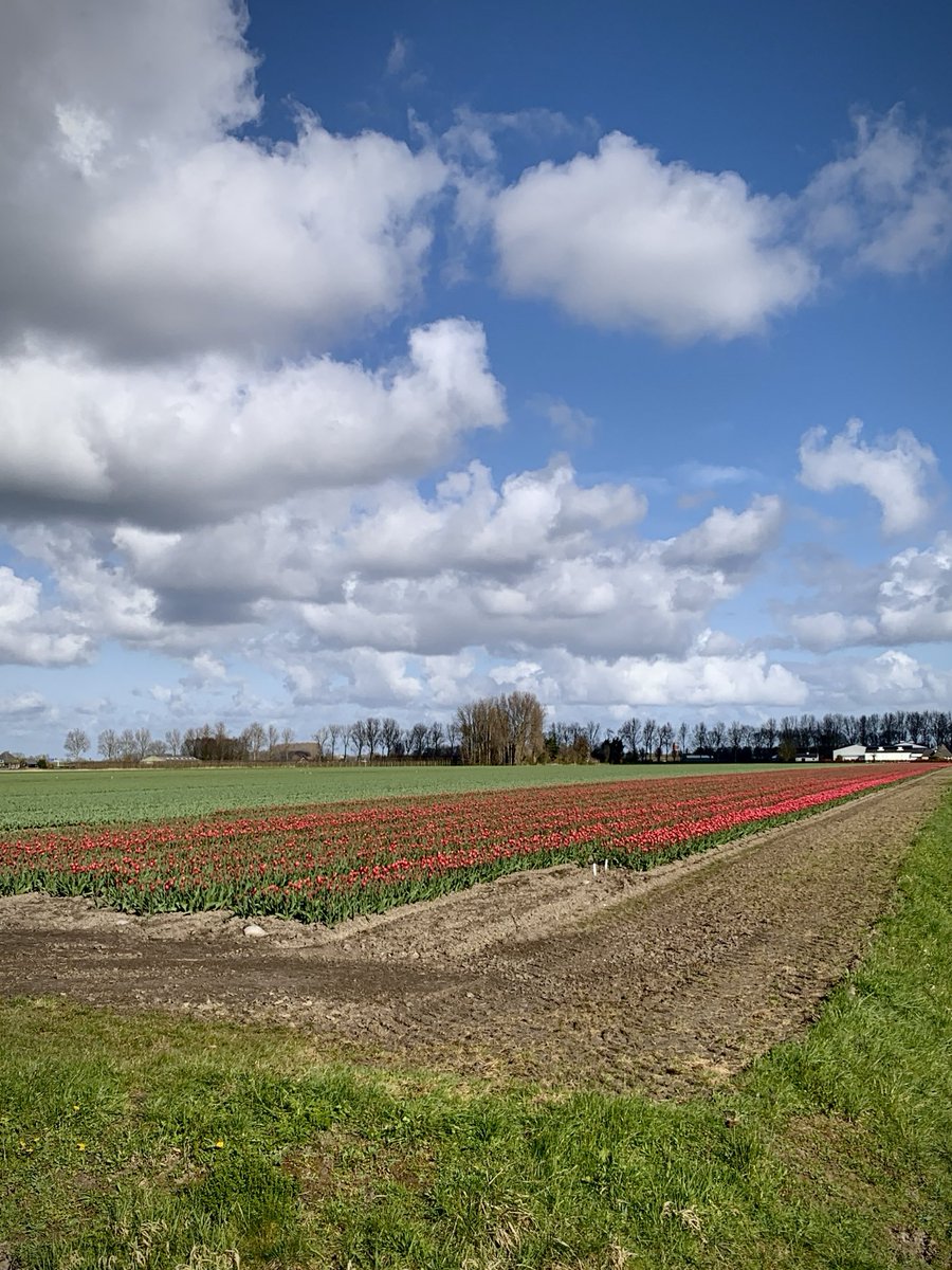 Meitje 🕊️ tweet media