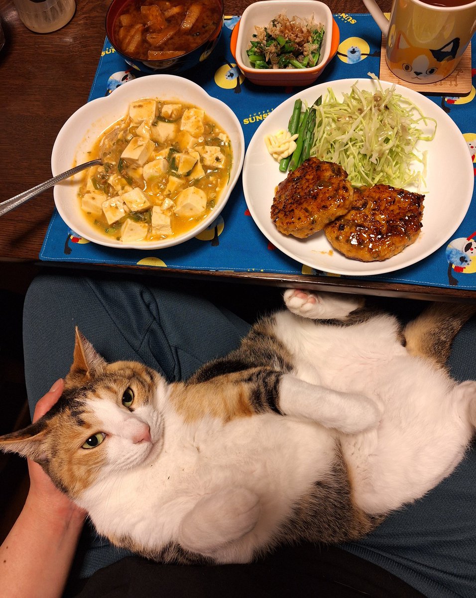 にこちゃまちゃんぬる tweet media