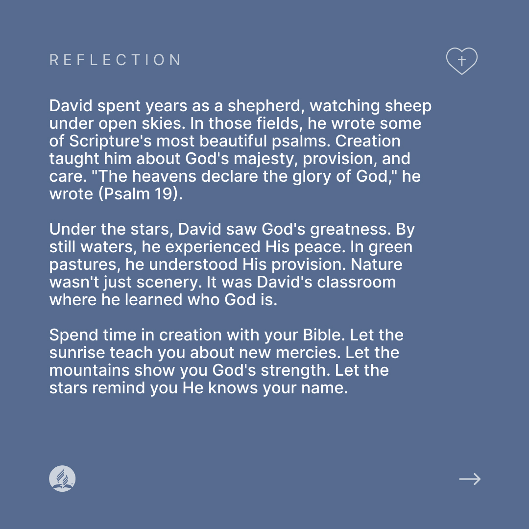 Adventist Church tweet media