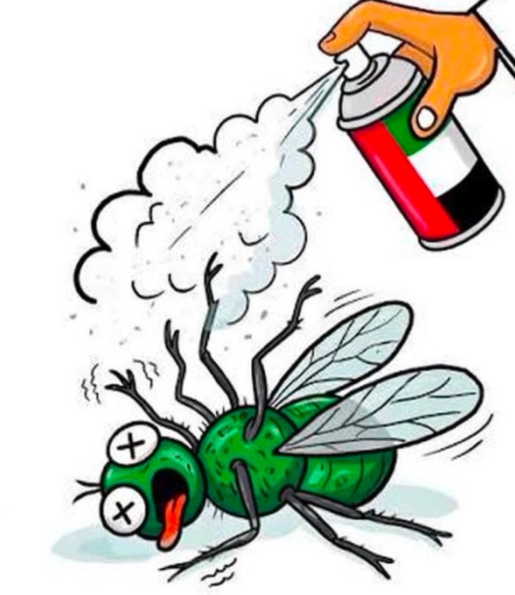 دار الزين 🇦🇪💜 tweet media