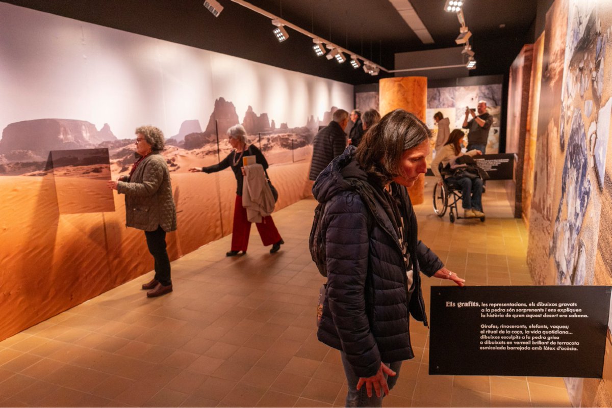 Les Bernardes tweet media