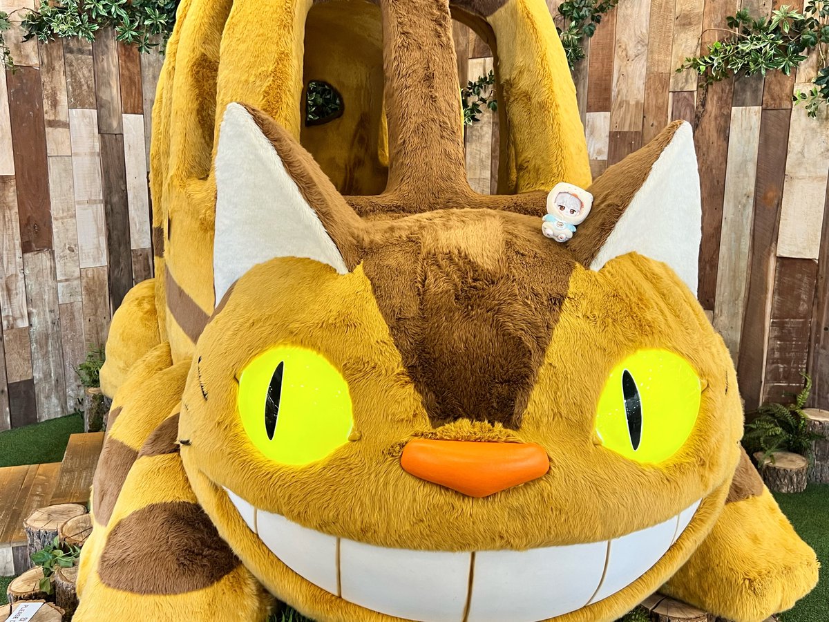 몽몽아ෆ⃛ tweet media