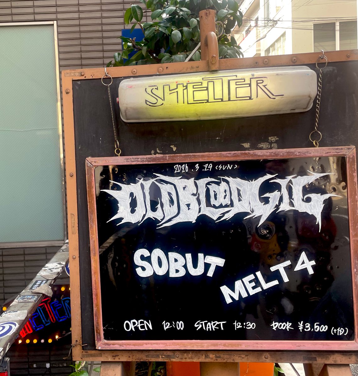 ゴリラ tweet media