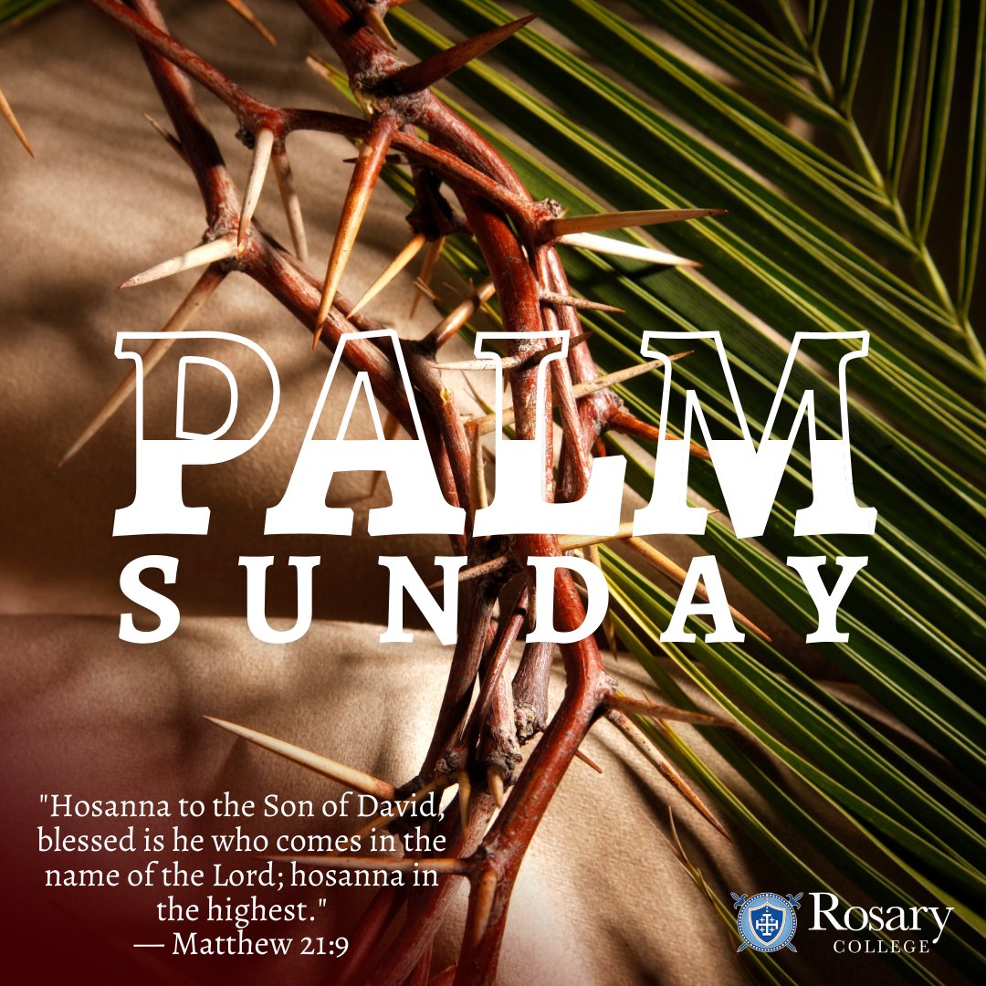 Rosary_College's tweet image. "Jesus enters Jerusalem... He does not enter to receive the honors reserved for the kings of this earth, for those who have power, for those who dominate; He enters to be scourged, insulted, and abused." — Pope Francis

#HolyWeek #PalmSunday #CatholicTradition