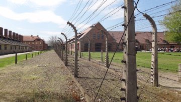 Alégrame el día tweet media