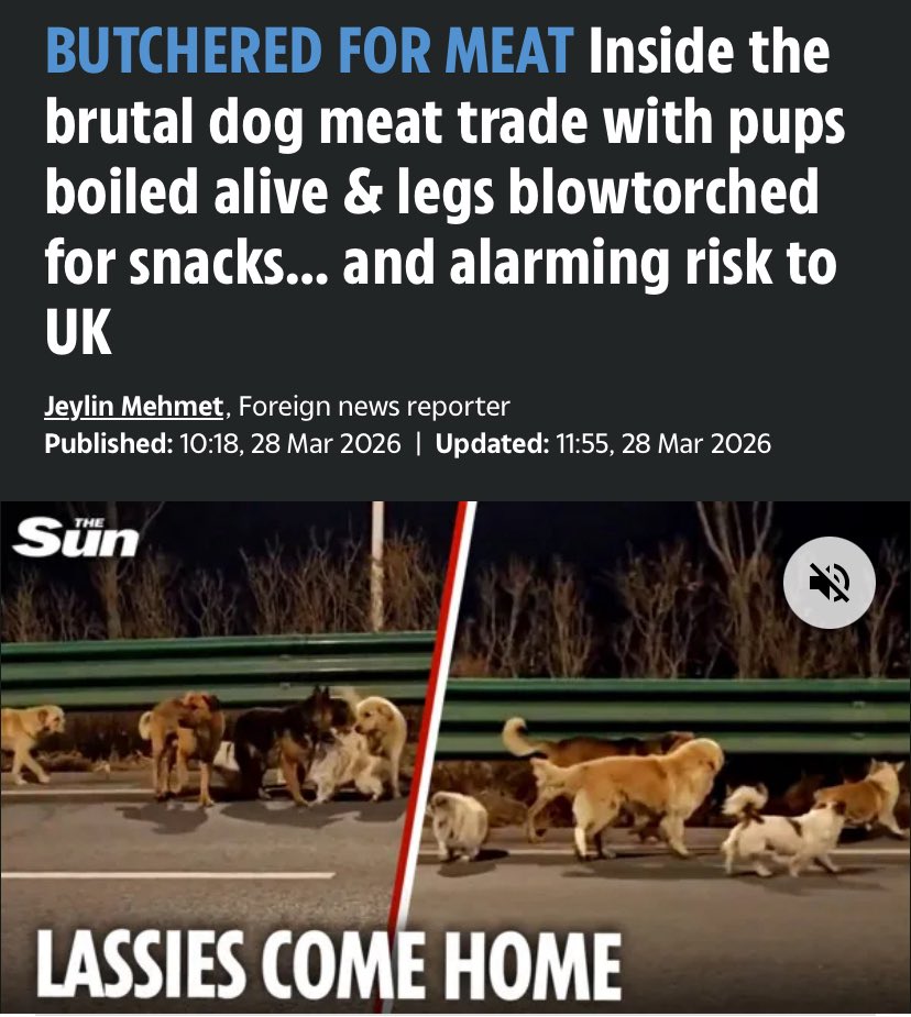 Nick Buckley MBE tweet media