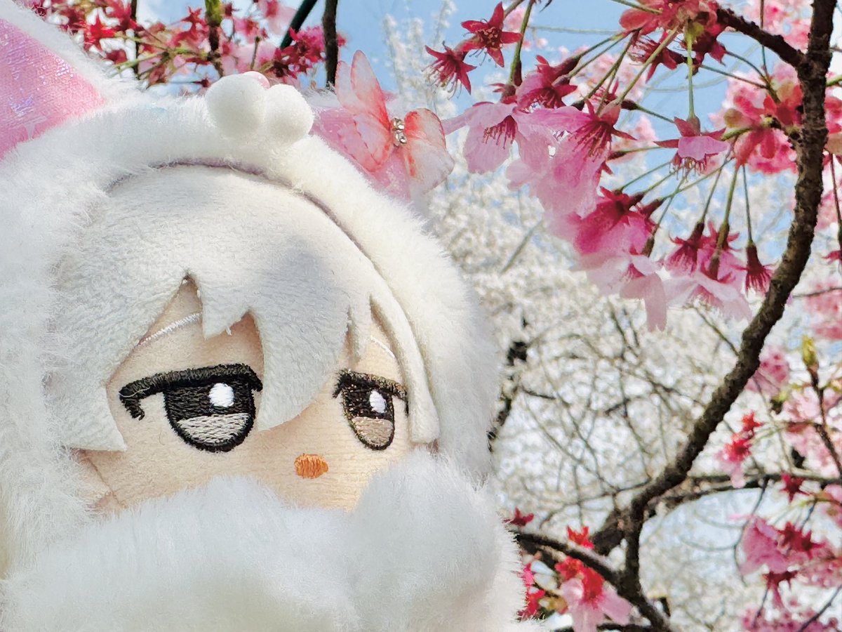 アヤ 3/20 南１い05ab tweet media