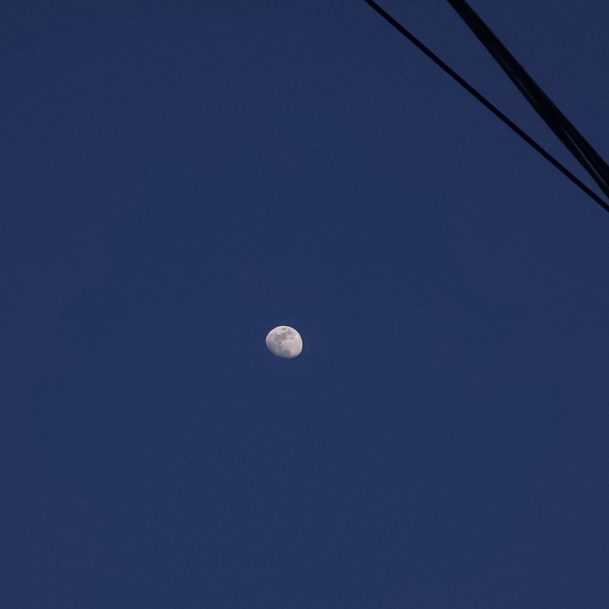 나의달🌙 tweet media