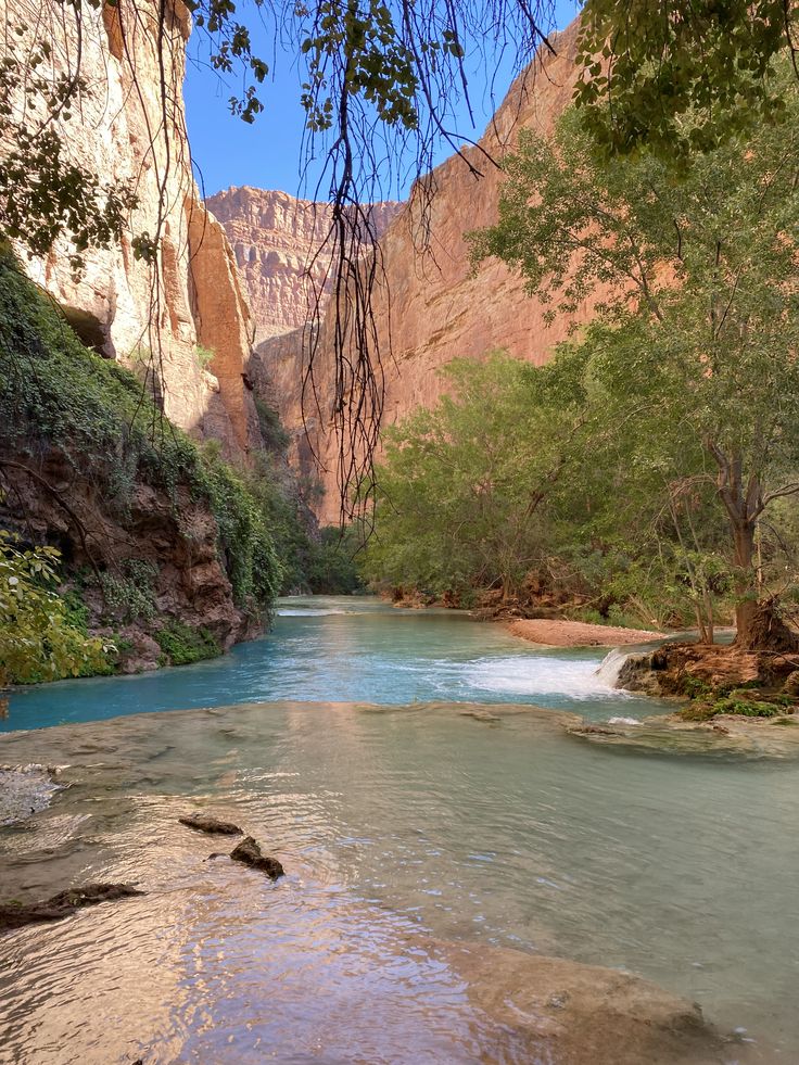 𝑒𝑙𝑦𝑟𝑎 tweet media