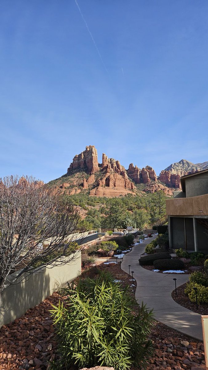 𝑒𝑙𝑦𝑟𝑎 tweet media