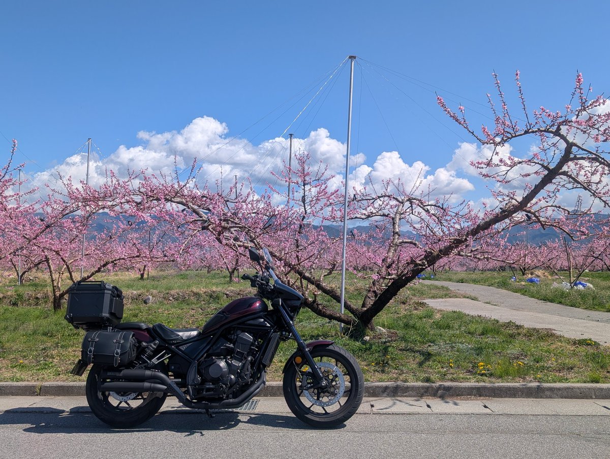 旅好き ライダー tweet media