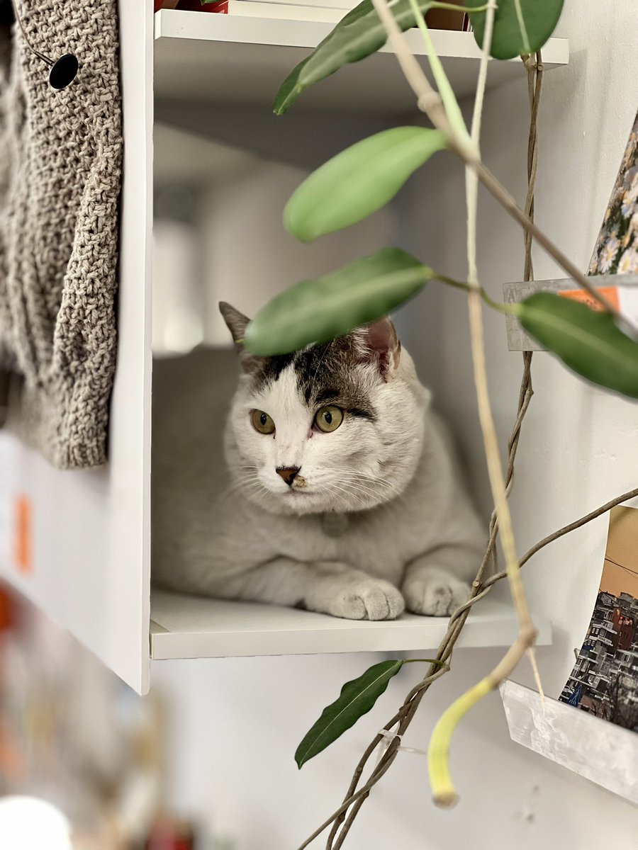 뽀또🧶⚾️🦅 tweet media