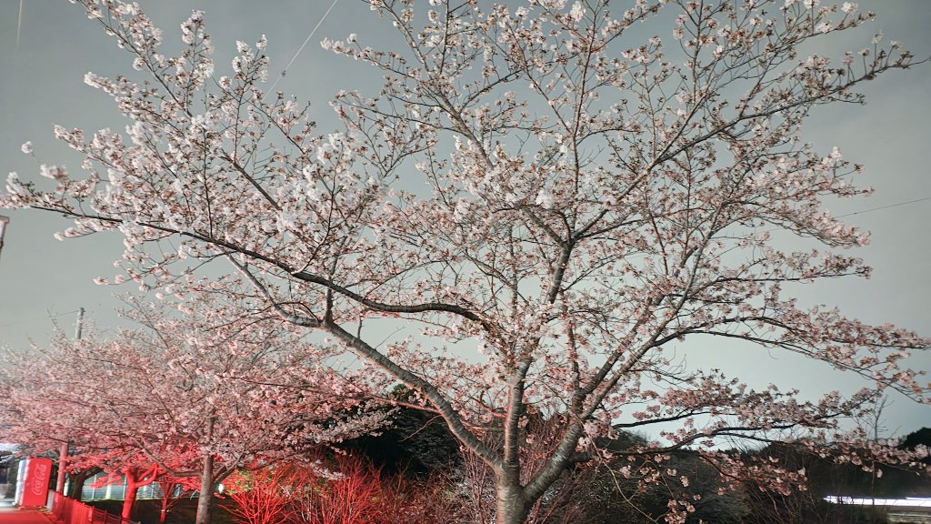 須山慶太 tweet media