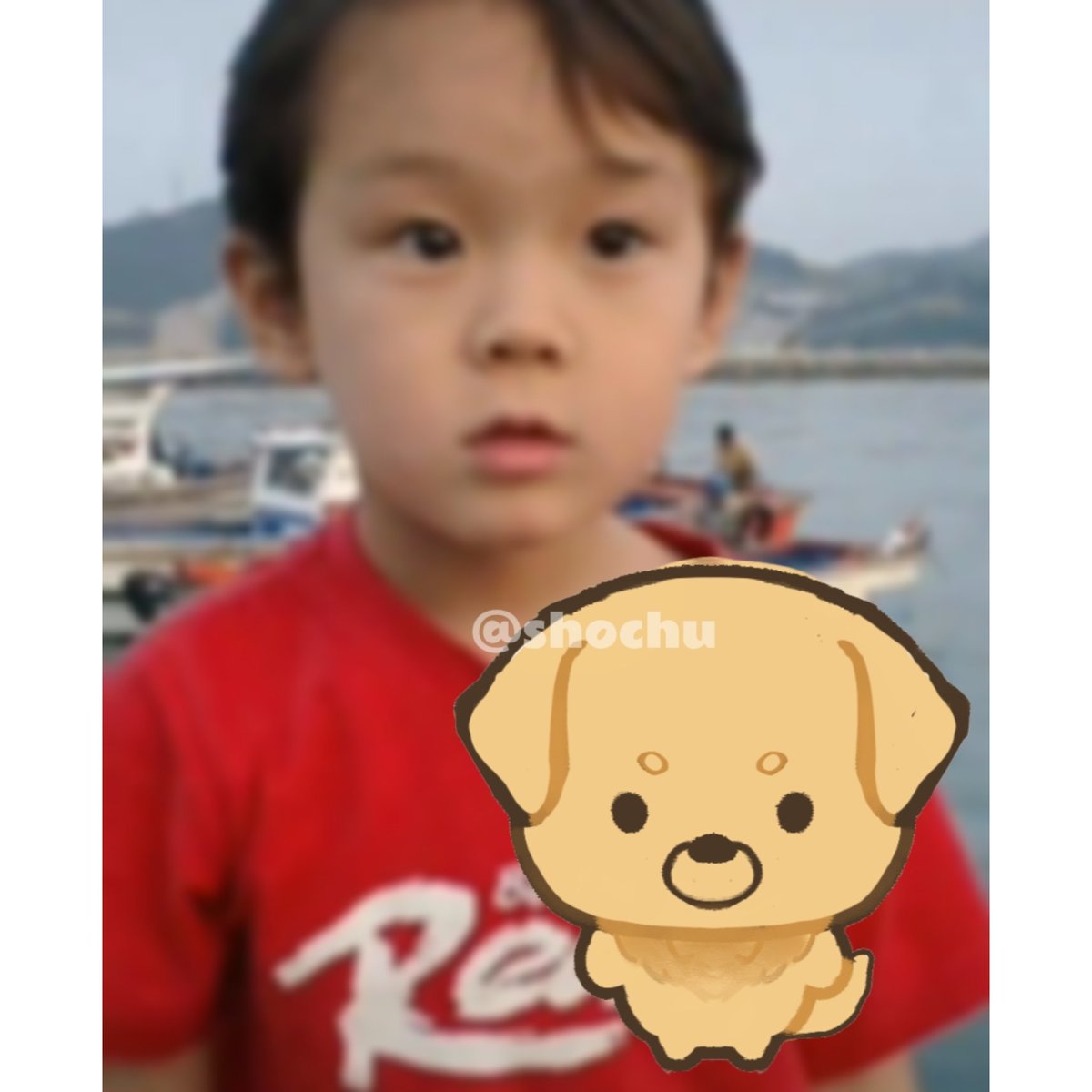 shochu.1214 tweet media