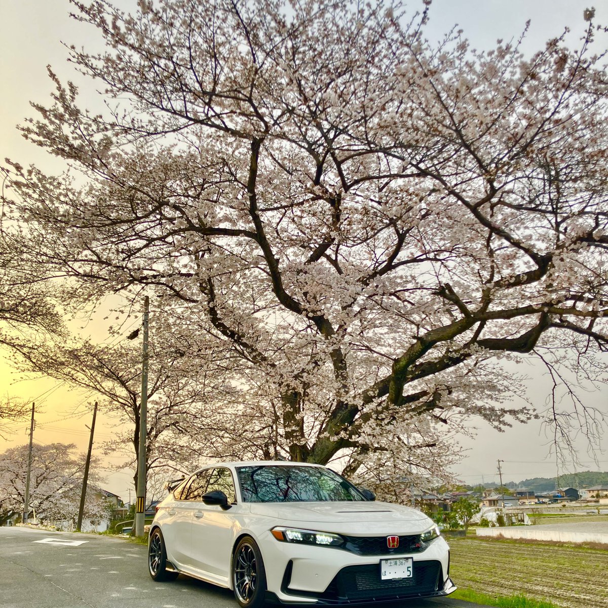 らてお tweet media