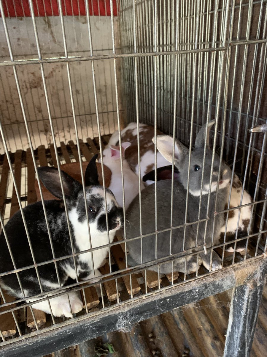 Anind 𐙚 ₊ ⊹ tweet media