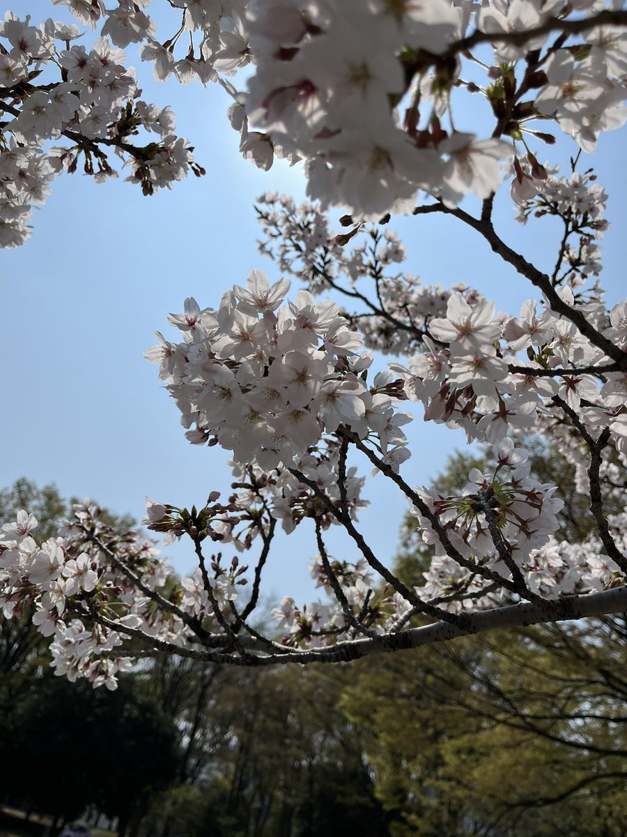 山﨑香@舞台女優 tweet media