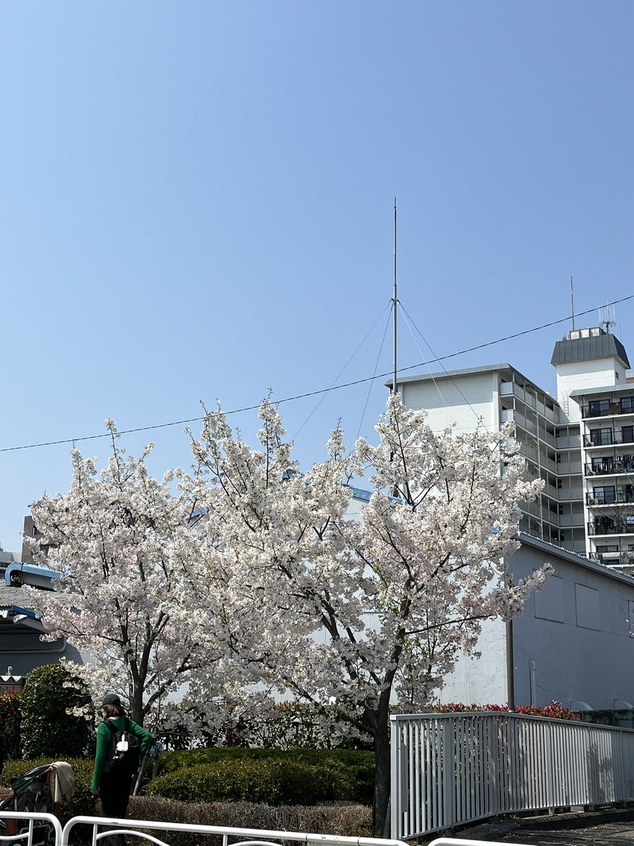 山﨑香@舞台女優 tweet media