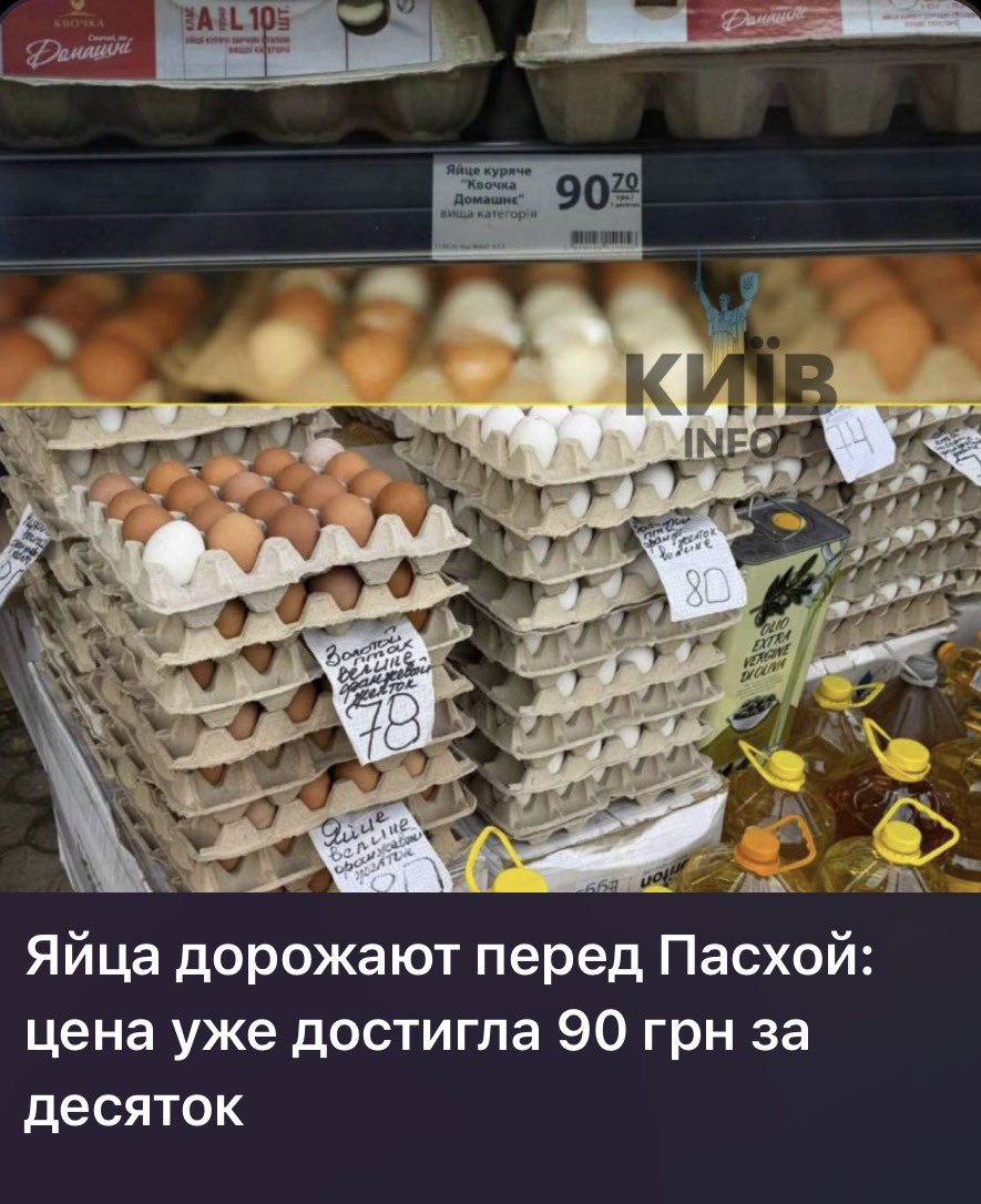 Drunk Gull tweet media