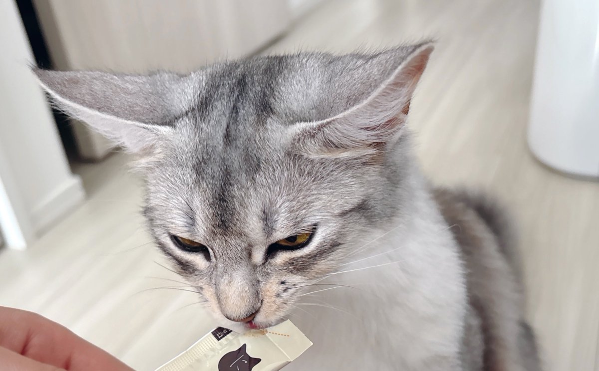 そばちゃん tweet media