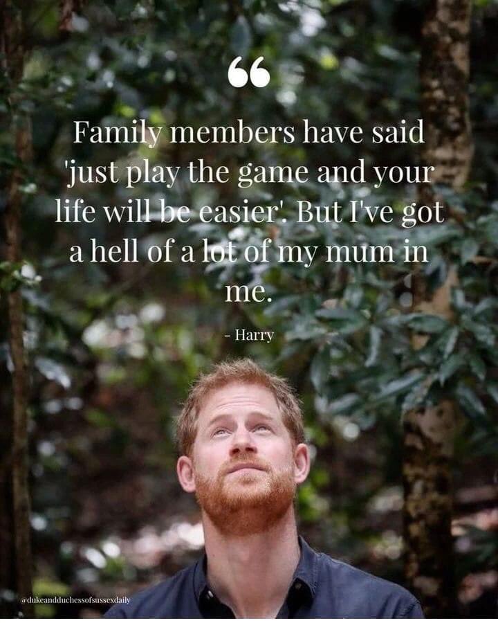 Behroze Patel tweet media