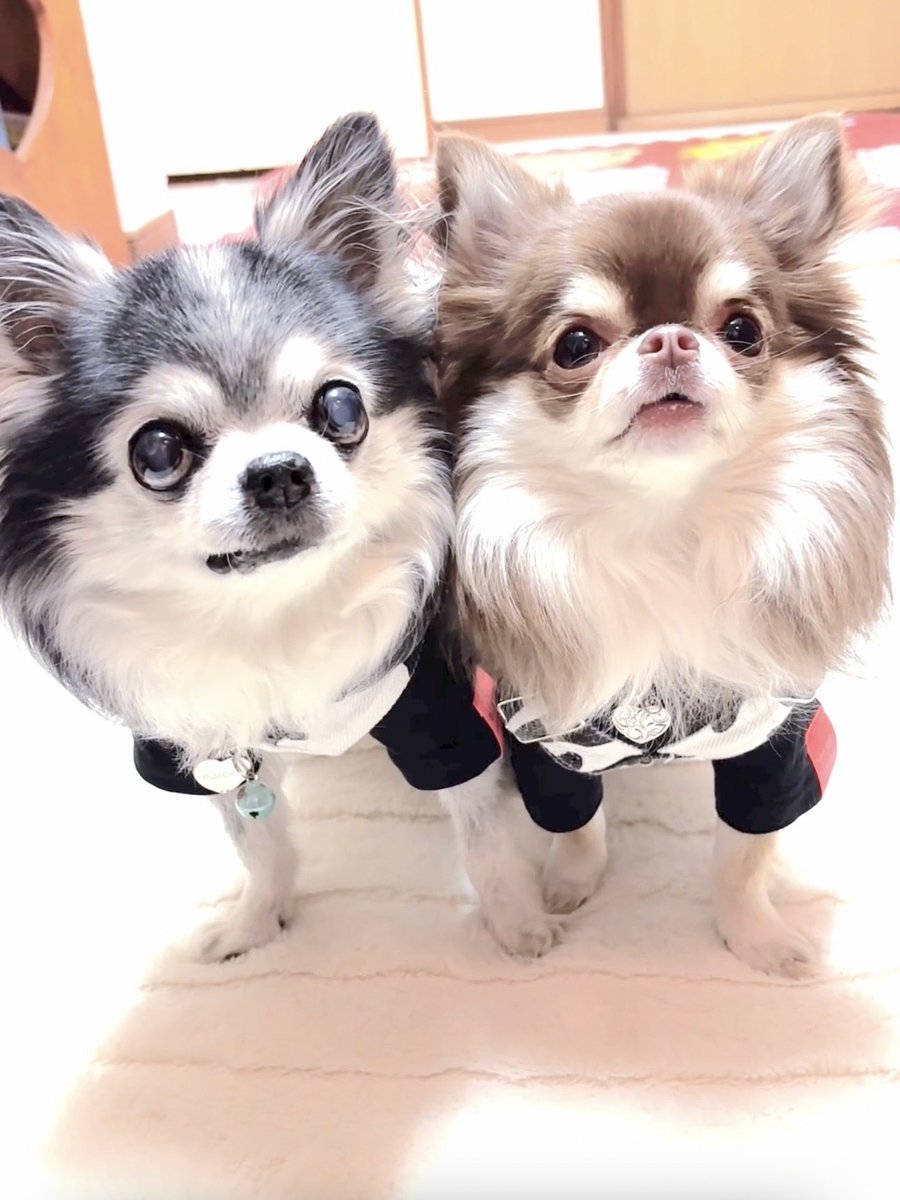 ジャック◡̈⃝ るん tweet media