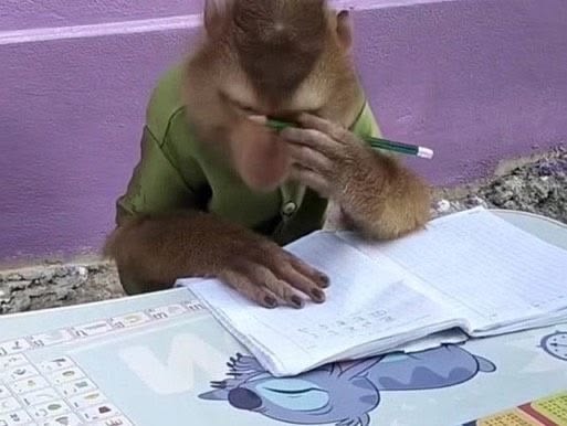 jayjj 🍥🍥 tweet media