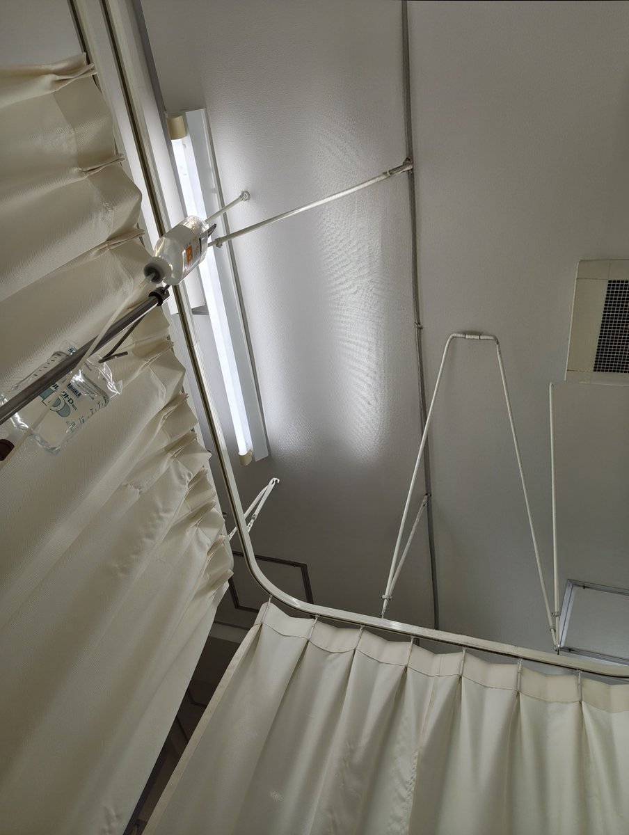 さかさきかおる🔔『サンクトペテルブルクの鍋』12/17発売! tweet media